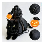 Black cat wearing the headless horseman costume with pumpkin accent and detail closeups