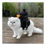 White Persian cat wearing the headless horseman costume on an outdoor deck