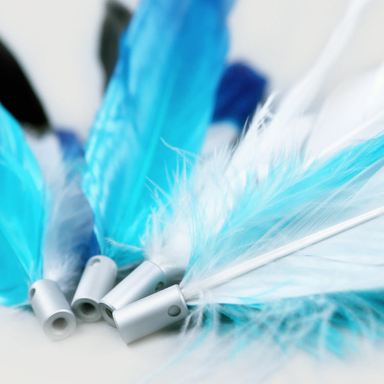 Cat teaser refill Feather type
