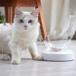 Adjustable Single/Double Raised Pet Bowl - Lazylifeshop