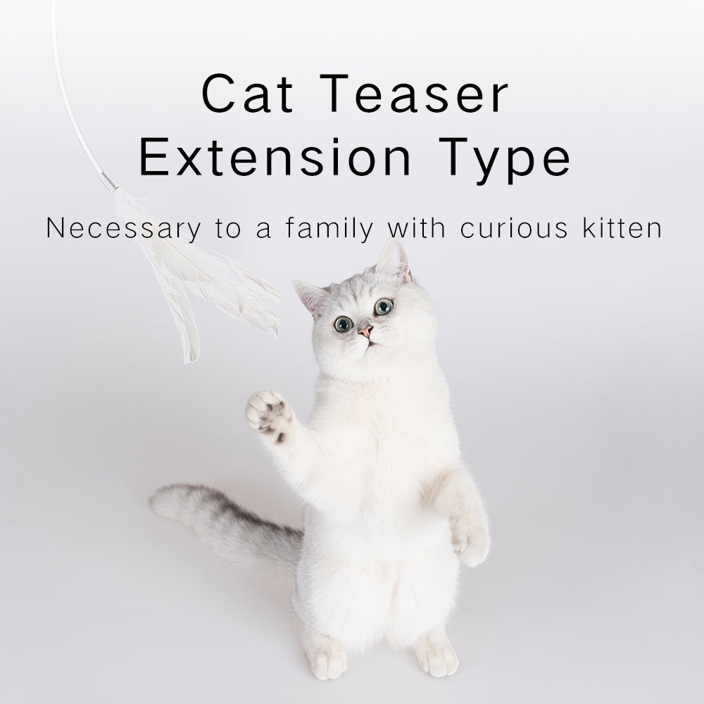Cat Teaser—Extension Type