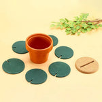 Cactus Insulated Coaster - Lazylifeshop