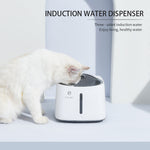 Induction smart water dispenser - USB charging - Lazylifeshop