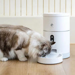 WIFI Smart Pet Feeder - Lazylifeshop