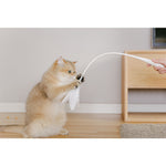 Cat Teaser—Extension Type - Lazylifeshop