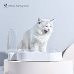 Pet Double Bowl for Drinking Water - Lazylifeshop