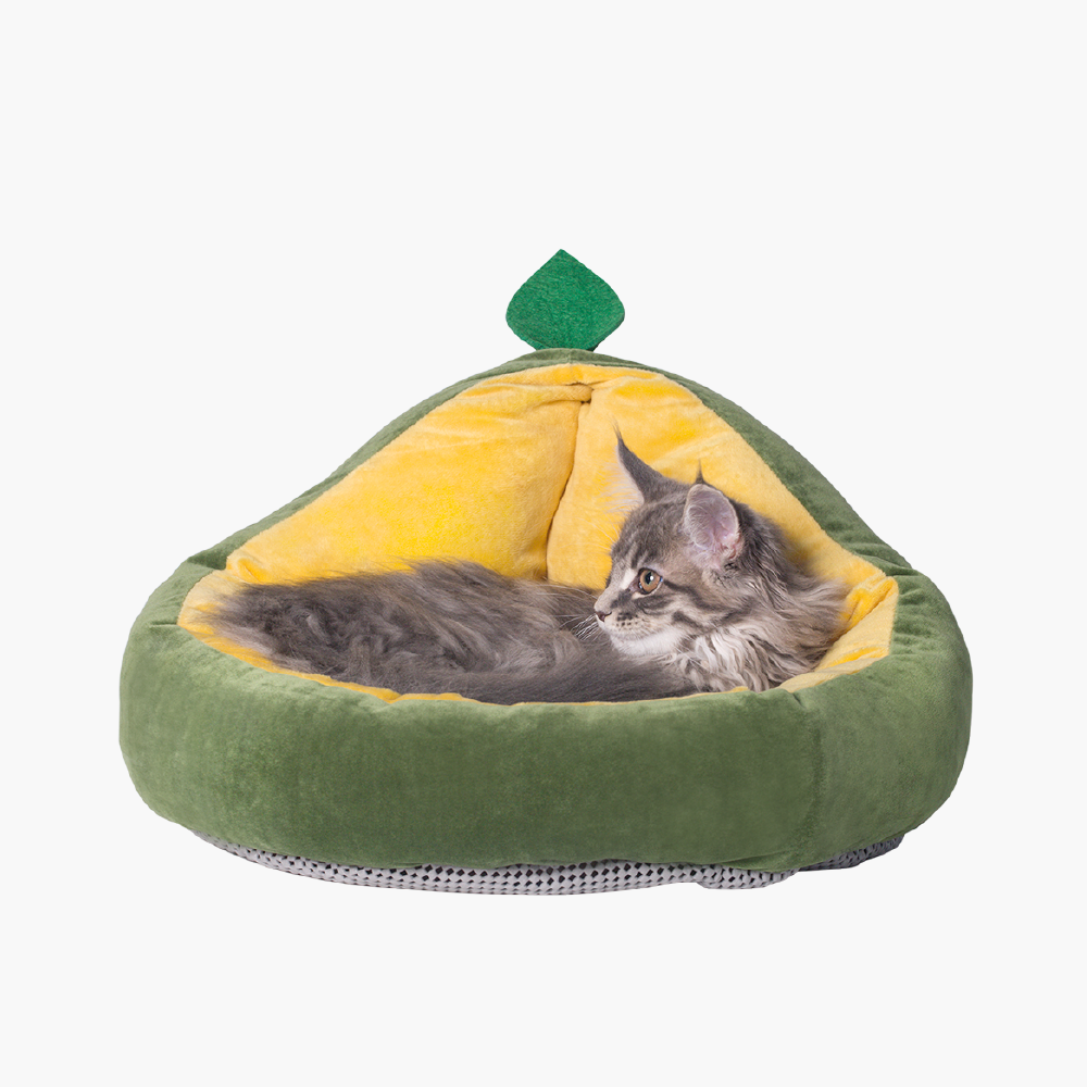 Avocado Type Pet Nest