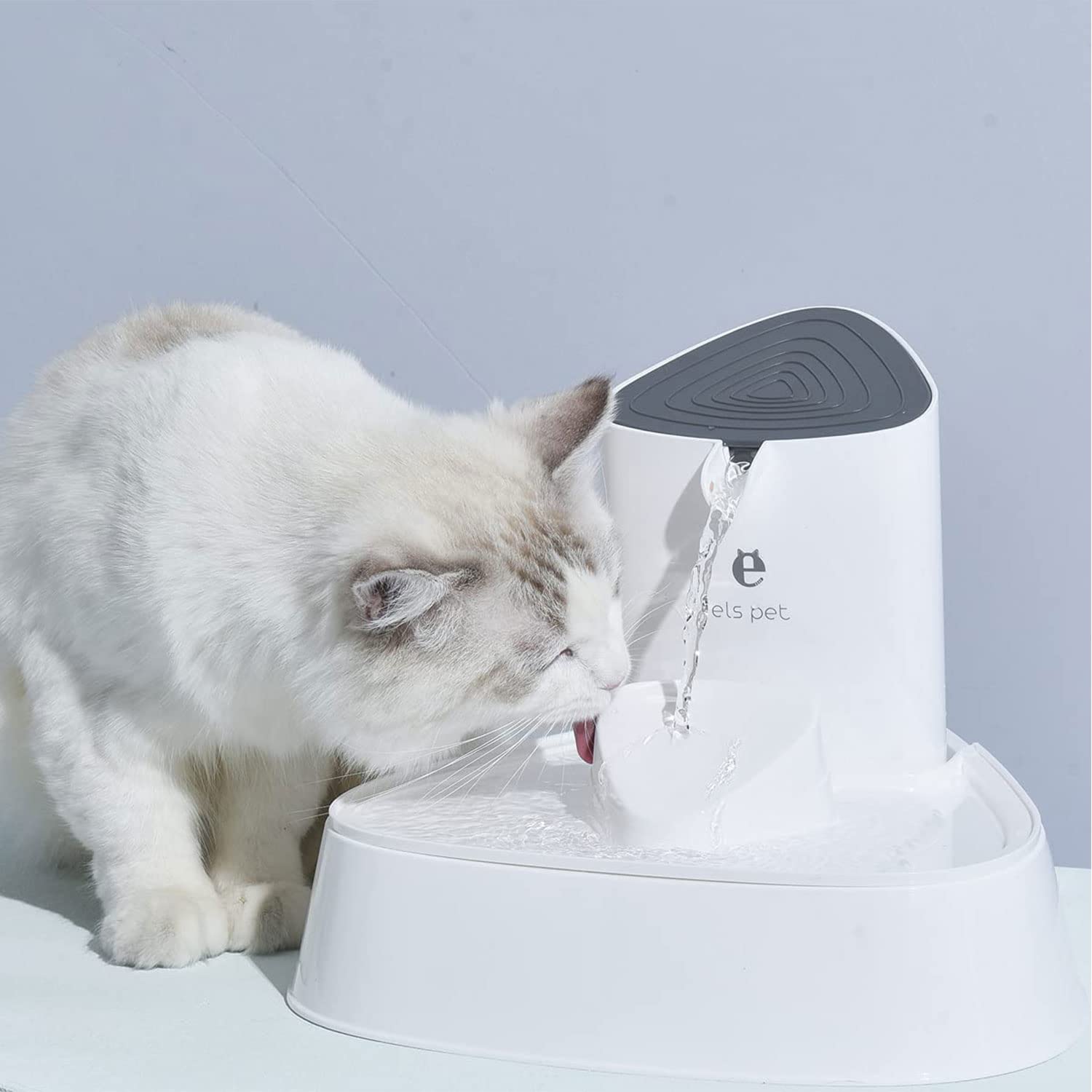 Shell Style Cat Fountain 1.5L