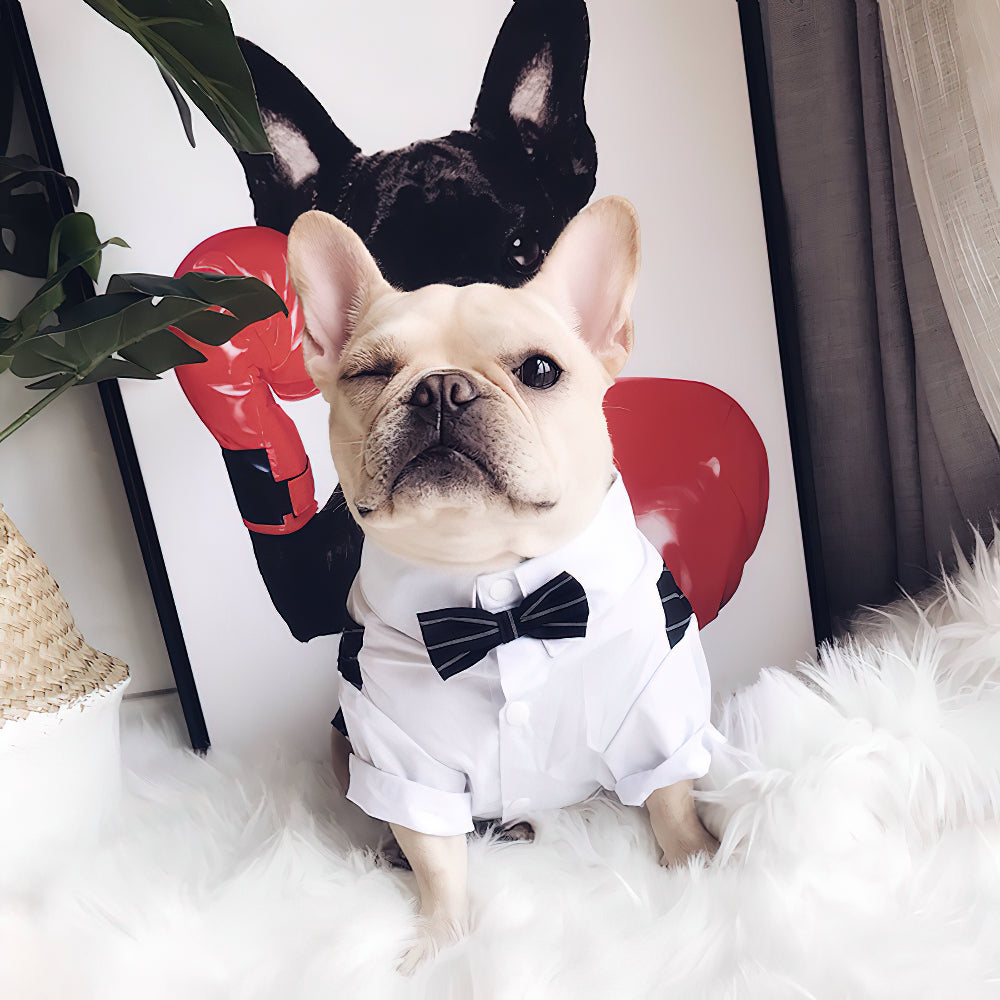 Pet Dogs Prince Summer Thin Tuxedo Wedding Party Suit Formal Wear