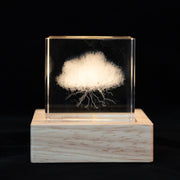 Thunder Clouds