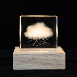 Thunder Clouds