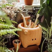 Big Hu Wooden Desktop Storage Ornament