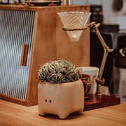 Big Hu Wooden Desktop Storage Ornament