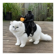 White Persian cat wearing the headless horseman costume on an outdoor deck