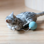 Pet toy Balloon type - Lazylifeshop