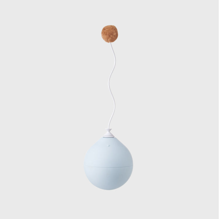Pet toy Balloon type