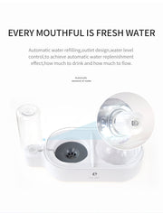 Pet Double Bowl for Drinking Water - Lazylifeshop