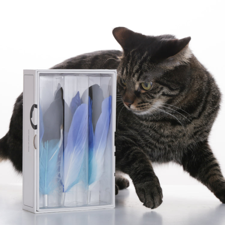 Cat teaser refill Feather type