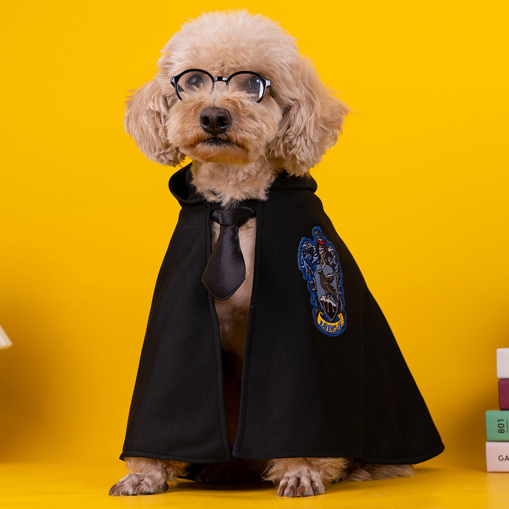 Gato Harry Potter Cabo Ropa para mascotas con corbata y gafas