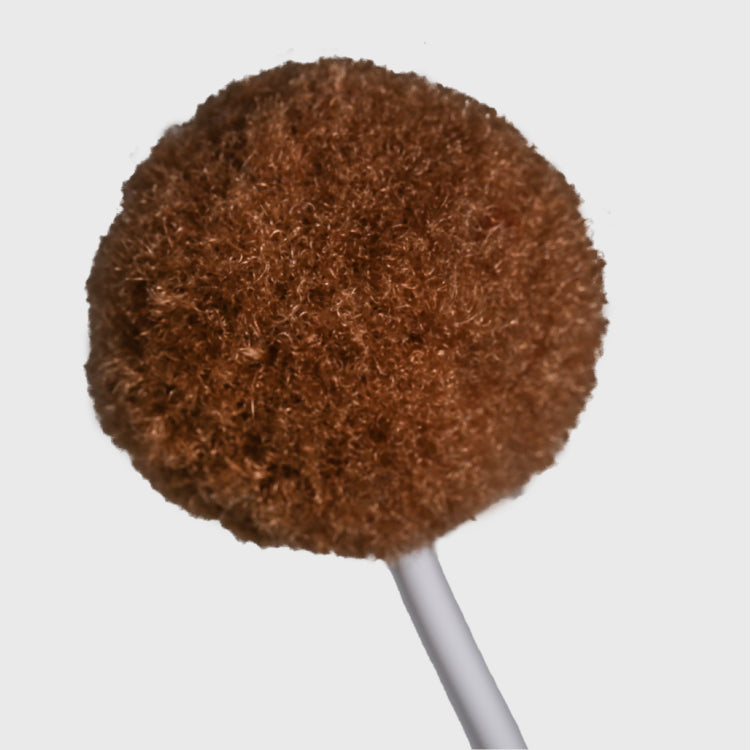 Pet toy Balloon type
