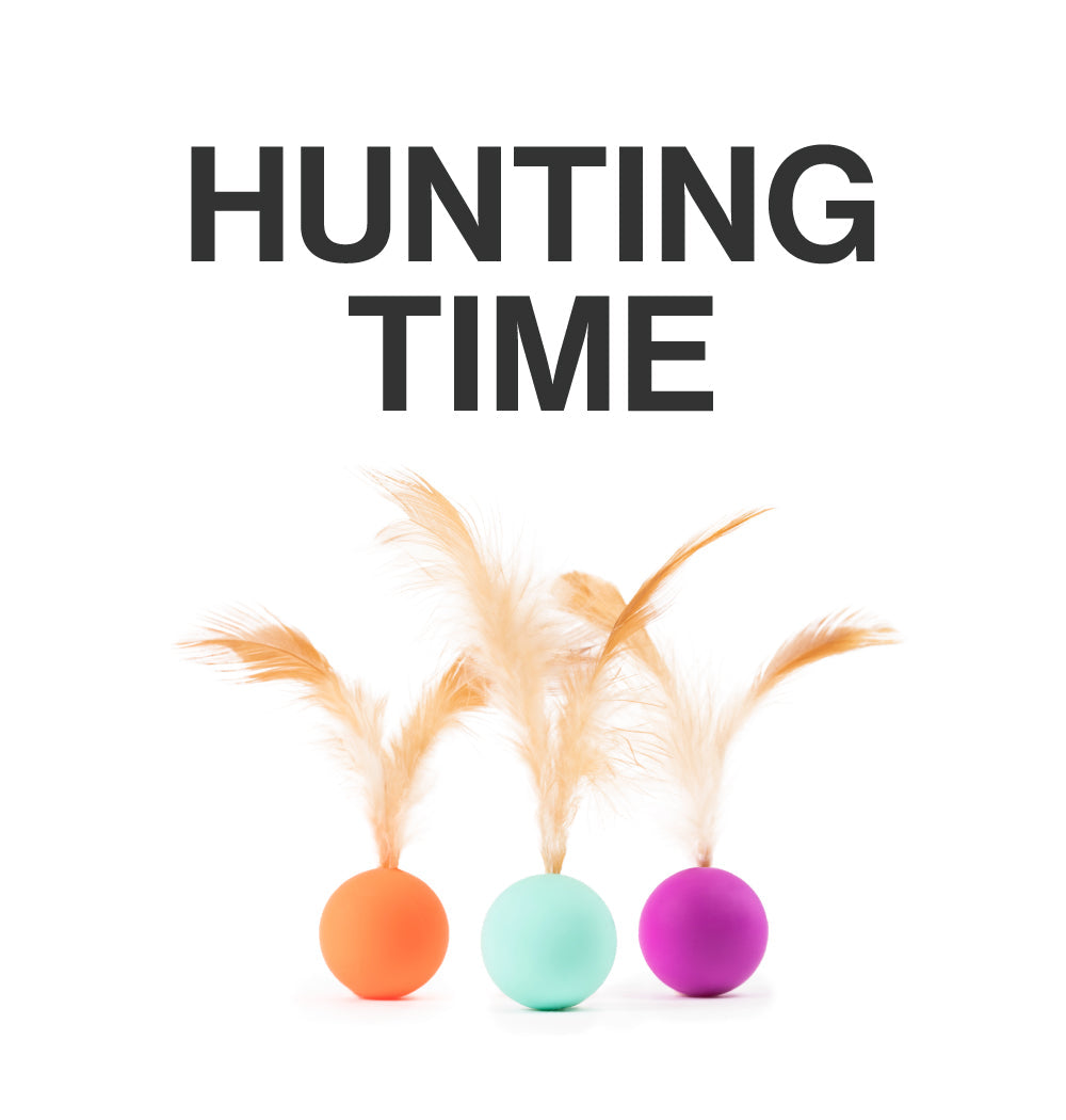 Pet Toy For Cats Bouncy Ball Type