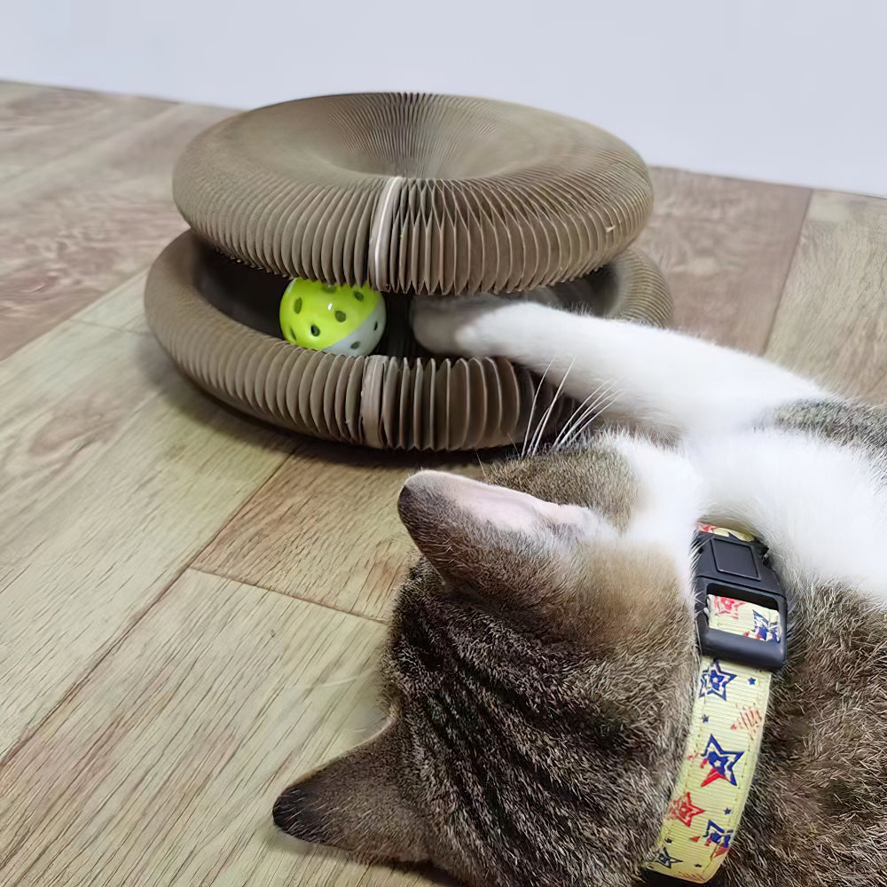 Pista de bola de gato deformable de órgano con juguete de bola de gato