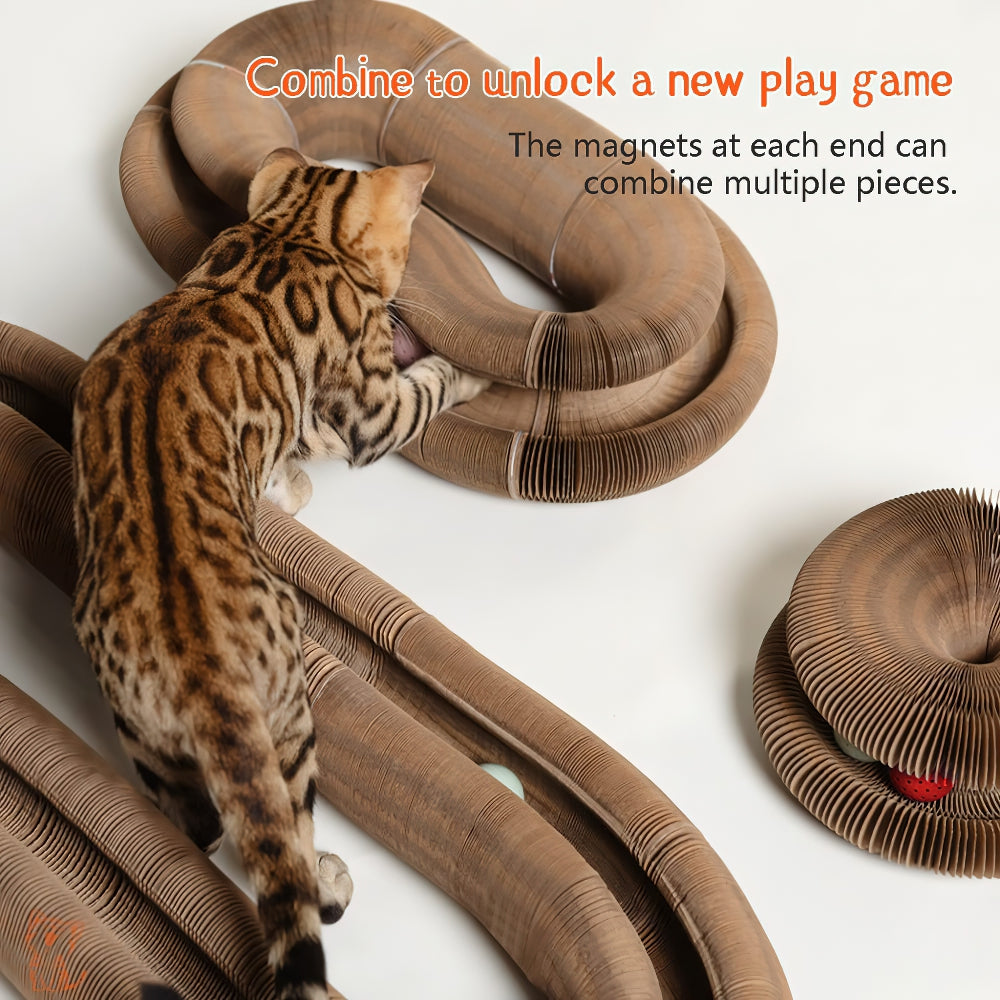 Organ Deformable Cat Ball Track With Cat Ball Toy