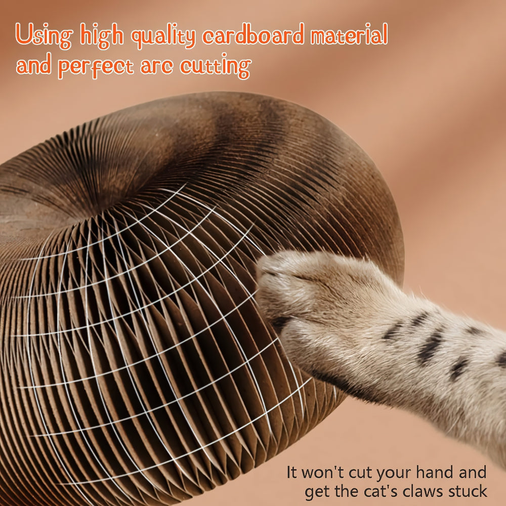 Organ Deformable Cat Ball Track With Cat Ball Toy
