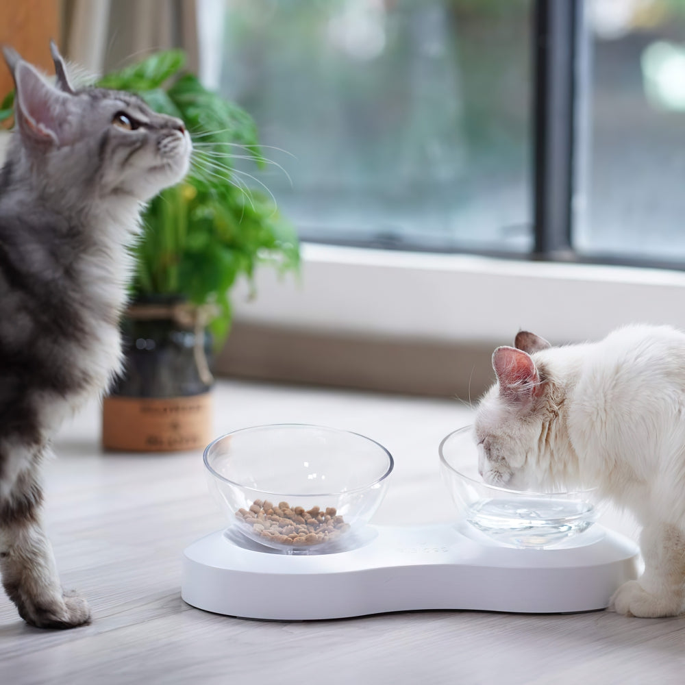 Adjustable Single/Double Raised Pet Bowl
