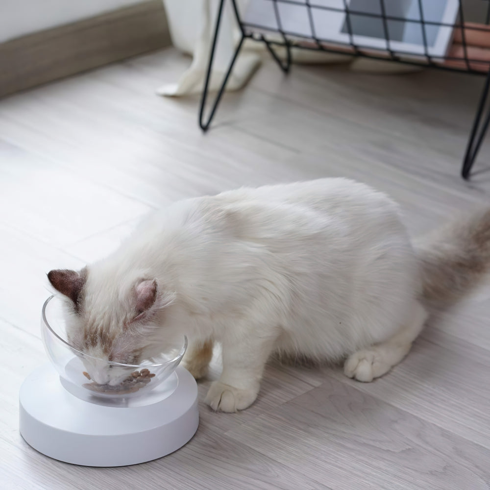 Adjustable Single/Double Raised Pet Bowl