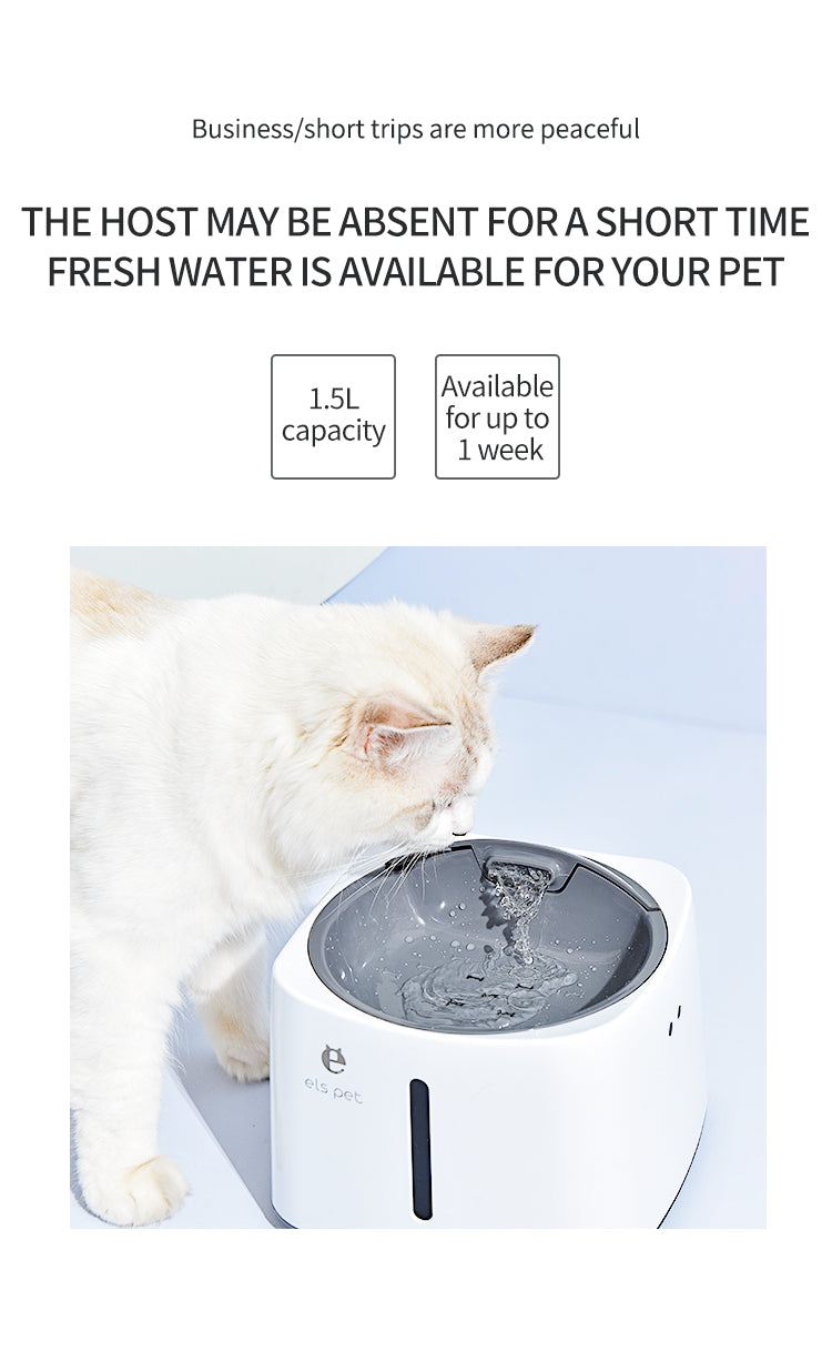 Induction smart water dispenser - USB charging