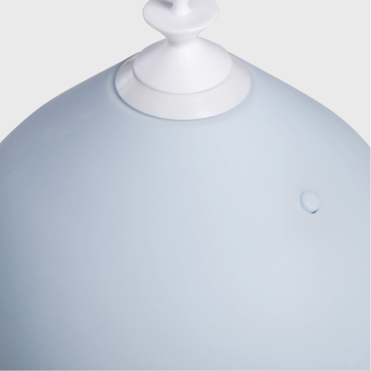 Pet toy Balloon type