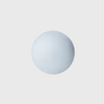 Pet toy Balloon type - Lazylifeshop