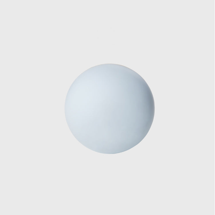 Pet toy Balloon type