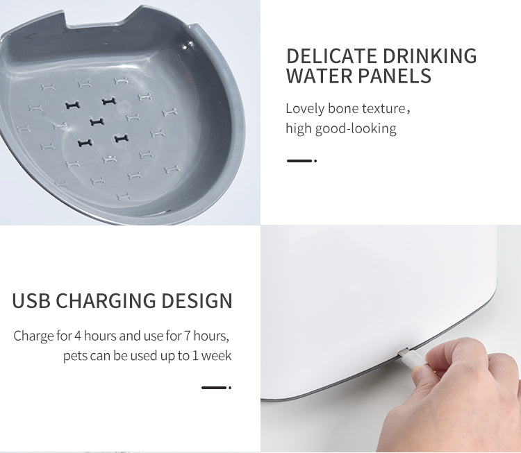 Induction smart water dispenser - USB charging