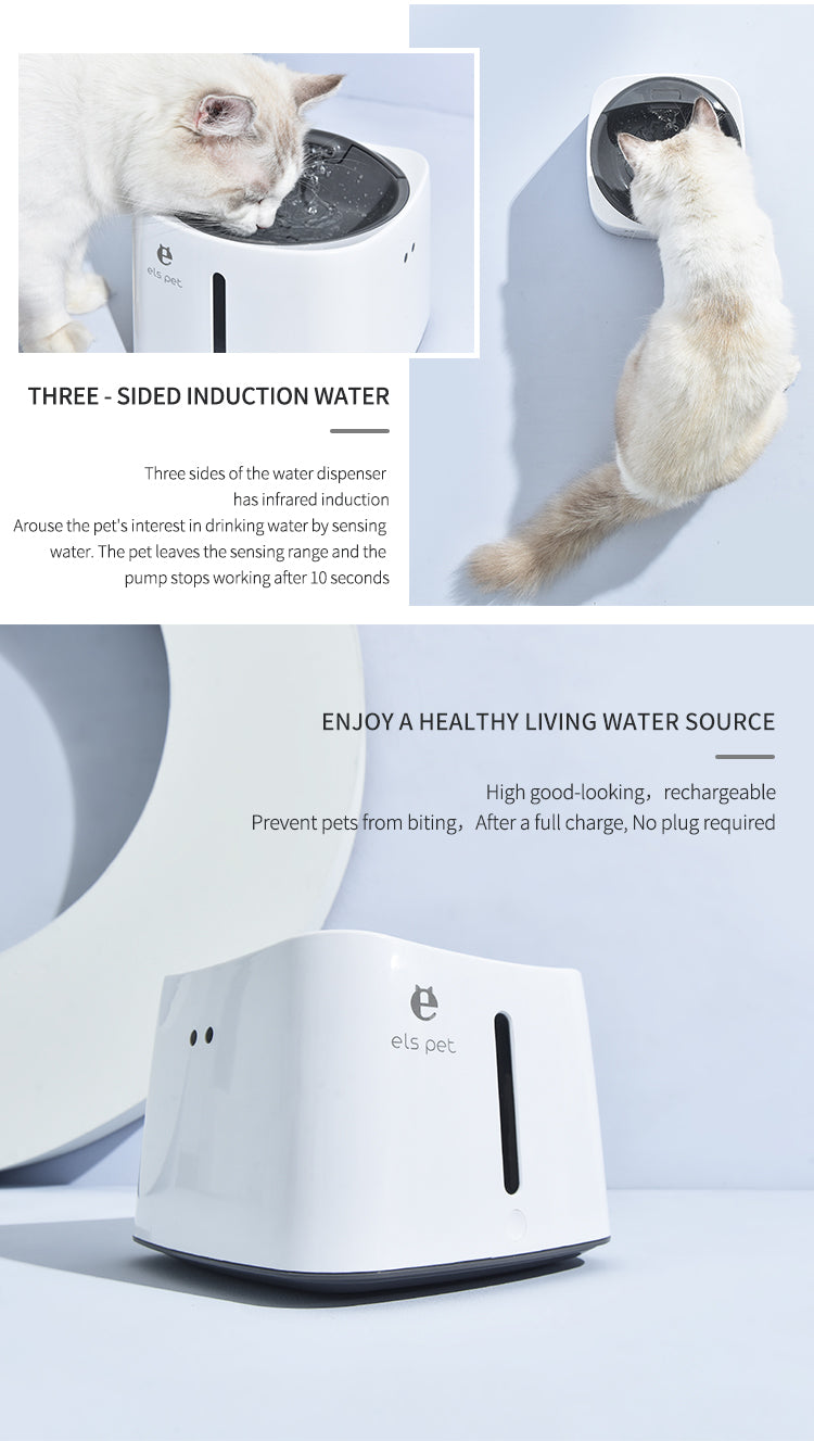 Induction smart water dispenser - USB charging