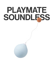 Pet toy Balloon type - Lazylifeshop
