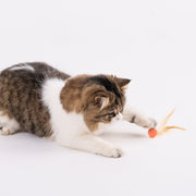 Pet Toy For Cats Bouncy Ball Type - Lazylifeshop