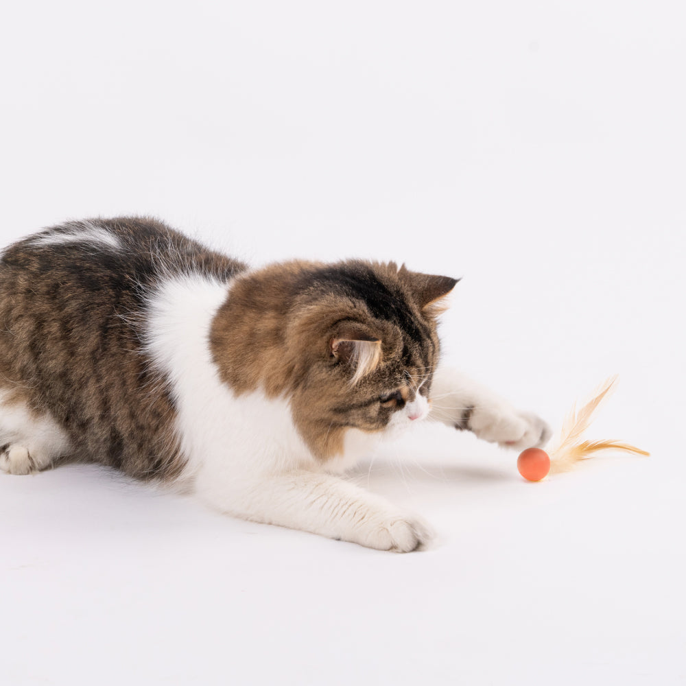 Pet Toy For Cats Bouncy Ball Type