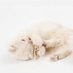 Pet Toy for Cats Stuffed Toy Little Monster Series - Lazylifeshop