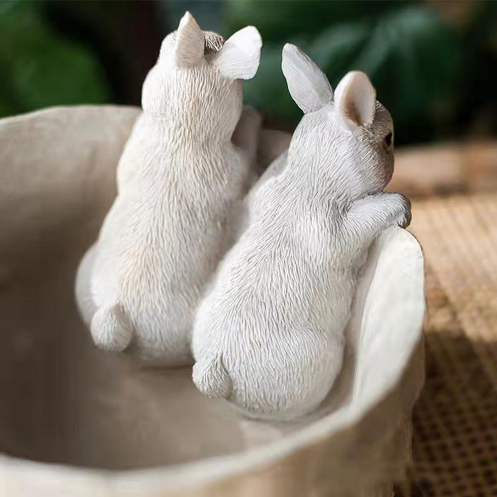 偷看兔子花盆