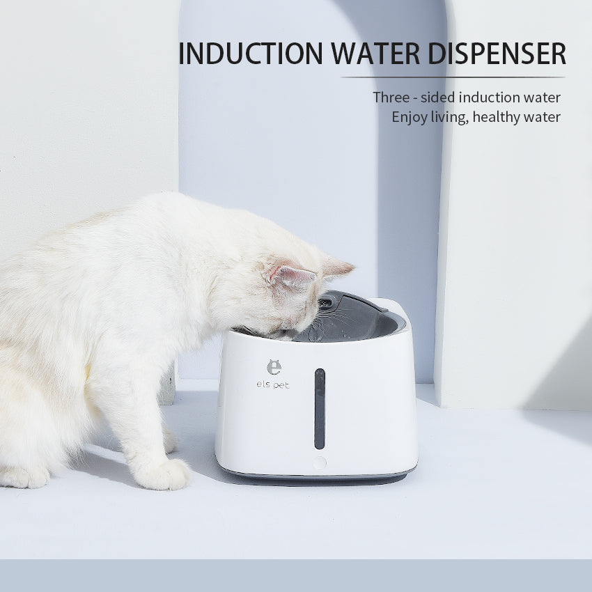 Induction smart water dispenser - USB charging