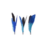 Cat teaser refill Feather type - Lazylifeshop