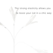 Cat Teaser—Extension Type - Lazylifeshop