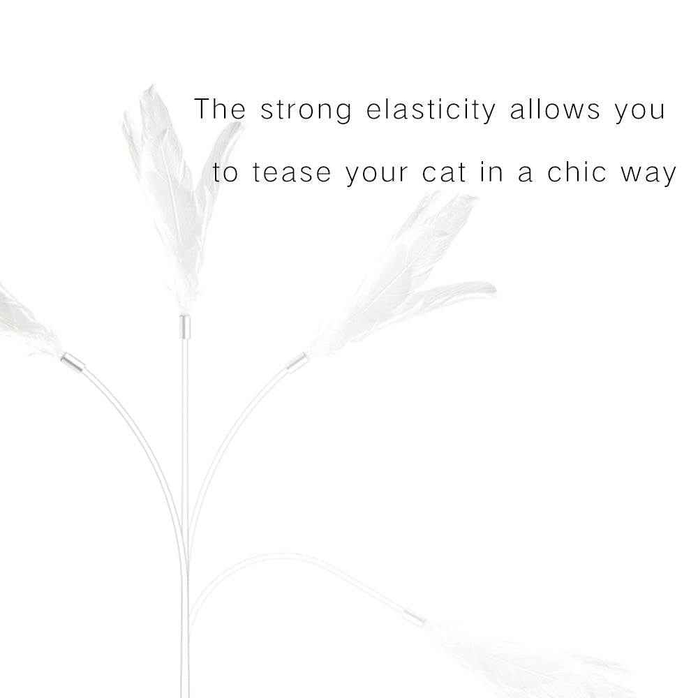 Cat Teaser—Extension Type