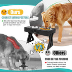 Elevated Adjustable Stainless Steel Pet Bowl - Lazylifeshop