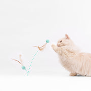 Pet Toy For Cats Bouncy Ball Type - Lazylifeshop