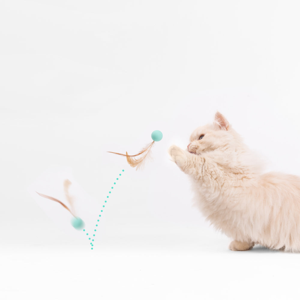 Pet Toy For Cats Bouncy Ball Type