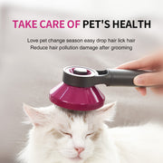 Pet Hair Removal Comb Set - Lazylifeshop