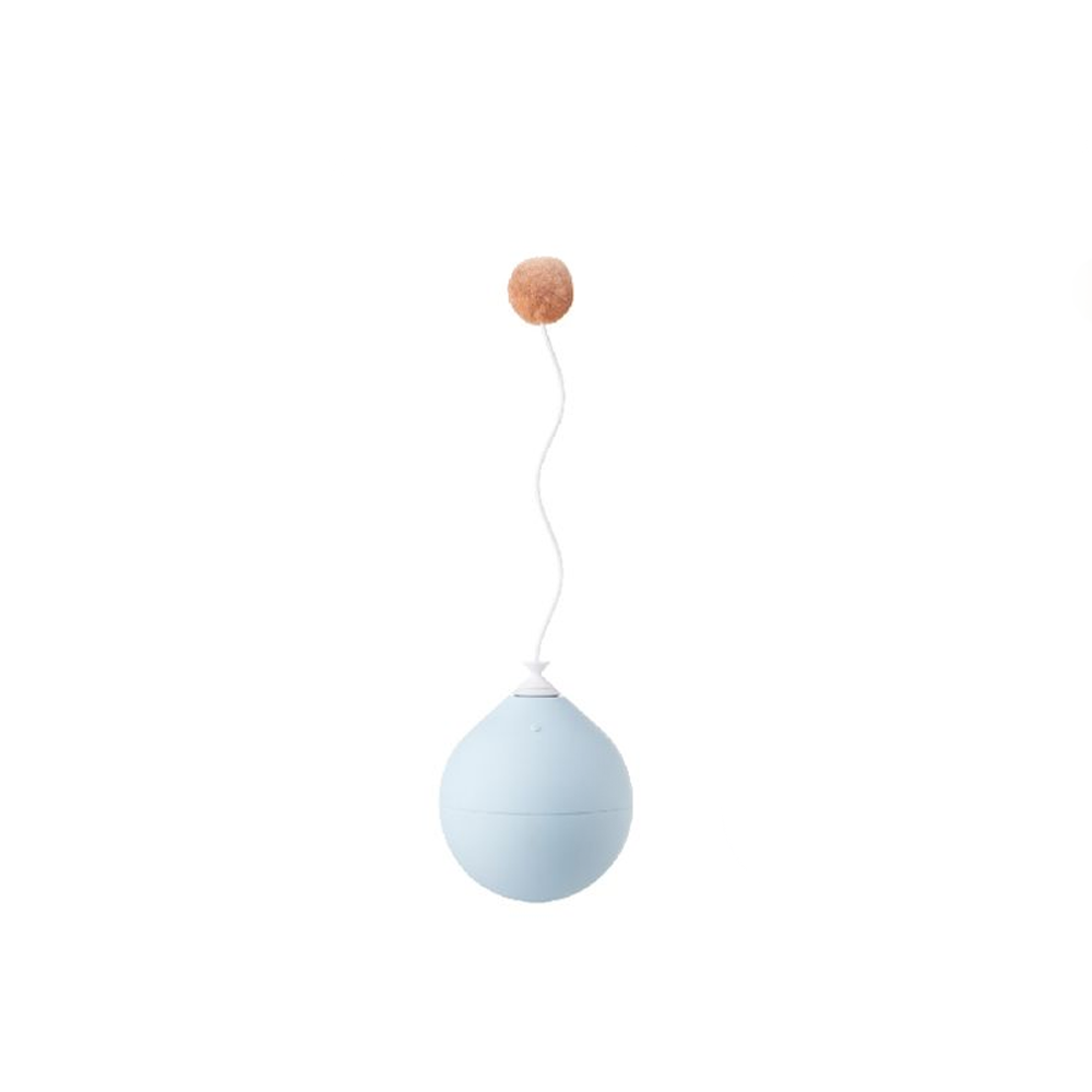 Pet toy Balloon type
